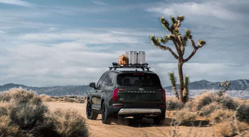 A black 2020 Kia Telluride is parked in the desert next to a Joshua tree.