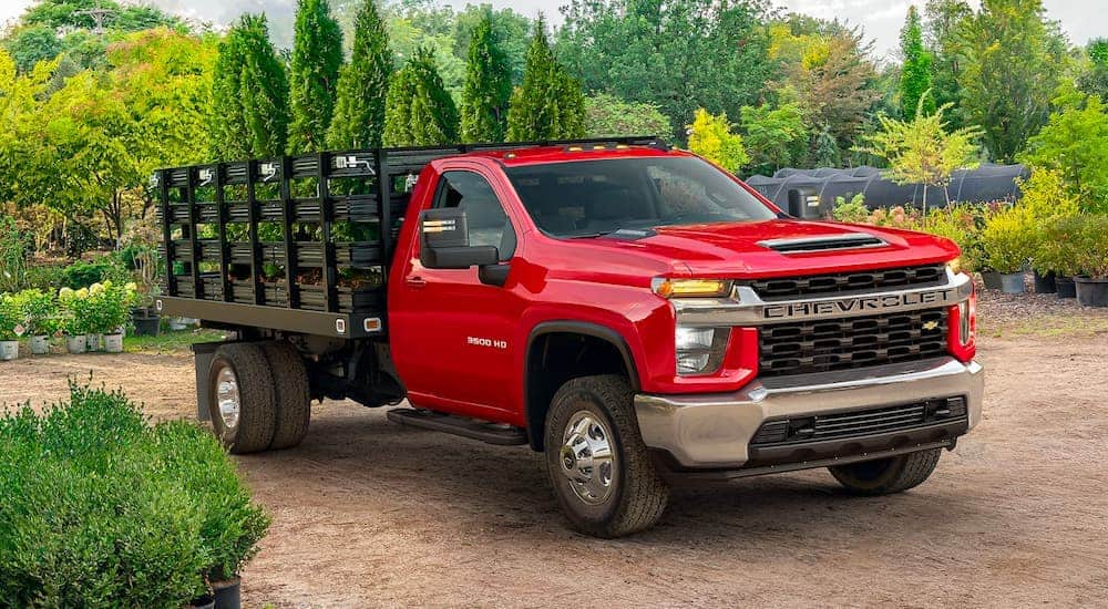 A red 2021 Chevrolet Silverado 3500HD is parked in a plant nursery.