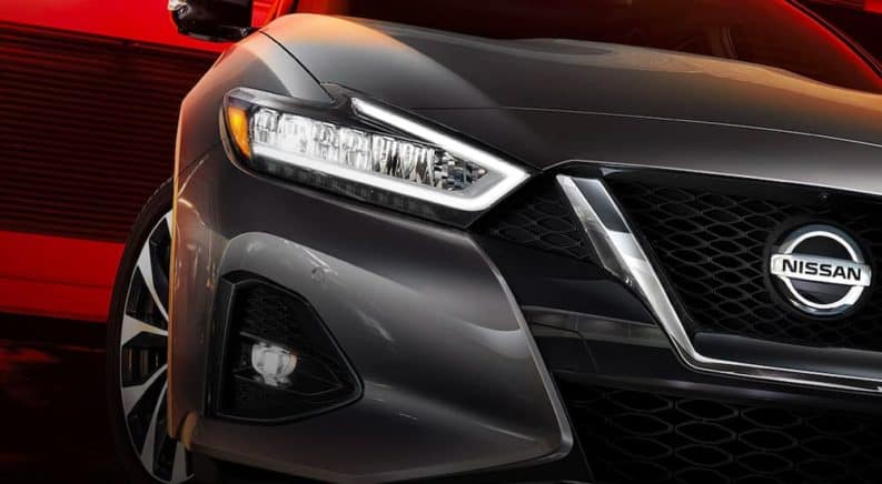 A close up is shown of the headlight and grille on a dark grey 2021 Nissan Maxima