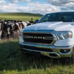 A white 2021 Ram 1500 Big Horn is parked in a field next to a group of cows.