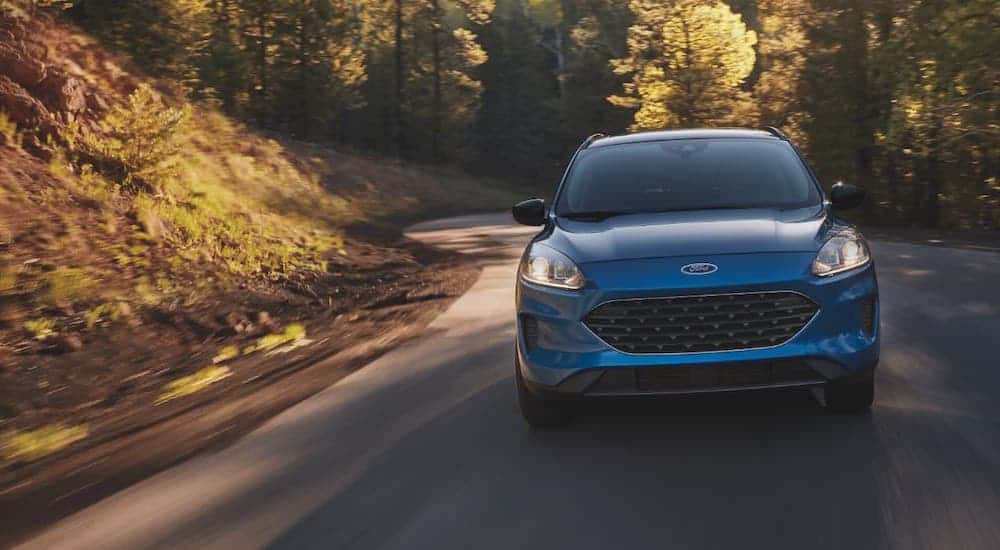 A blue 2021 Ford Escape is shown from the front driving on a rural road.