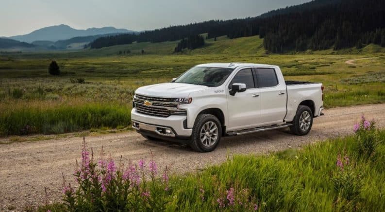 A white 2021 Chevy Silverado High Country is driving through a meadow after winning the 2021 Chevy Silverado 1500 vs 2021 Ford F-150 comparison.
