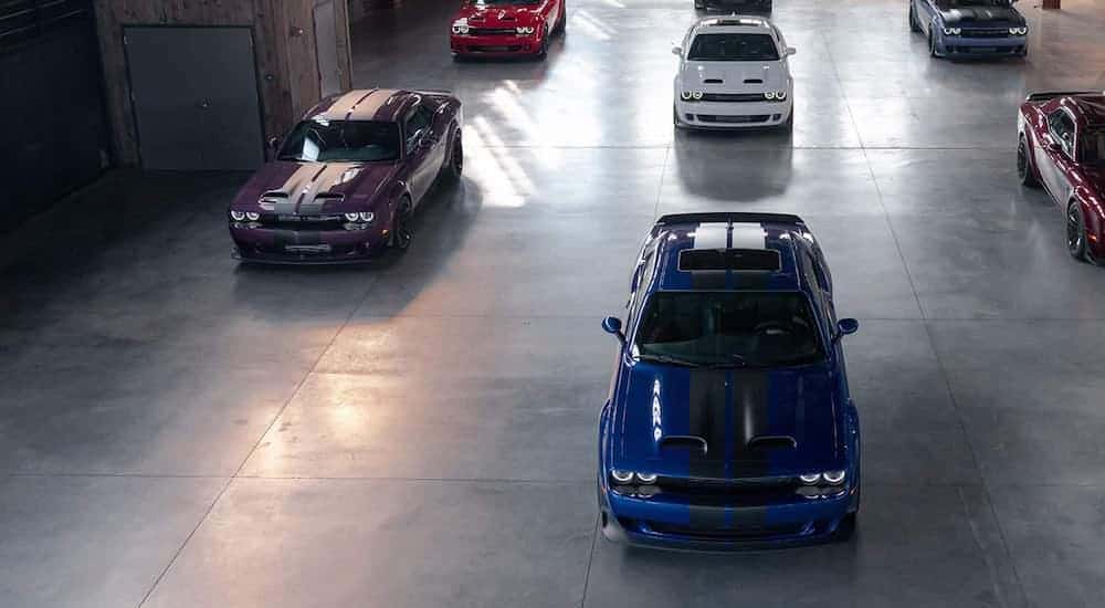 Multiple 2021 Dodge Challengers are shown from a high angle parked in a warehouse.