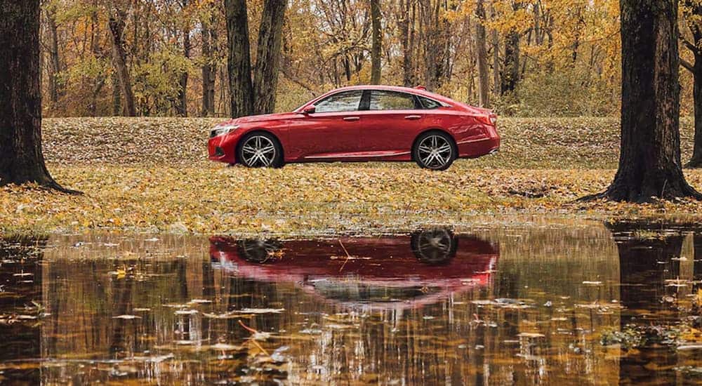 A red 2021 Honda Accord Hybrid is shown from the side near a lake after winning the 2021 Honda Accord vs 2021 Toyota Camry race.