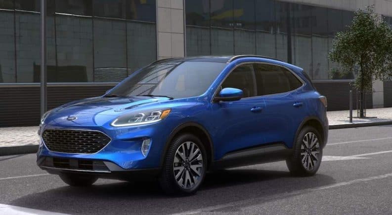 A blue 2021 Ford Escape is shown from the front parked at a crosswalk.