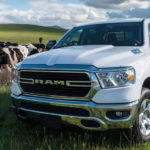 A white 2021 RAM 1500 is parked in a grass field with cows after leaving the used Ram dealership.