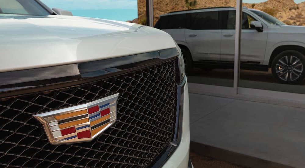 The front of a white 2021 Cadillac Escalade shows a closeup of the Cadillac bowtie.