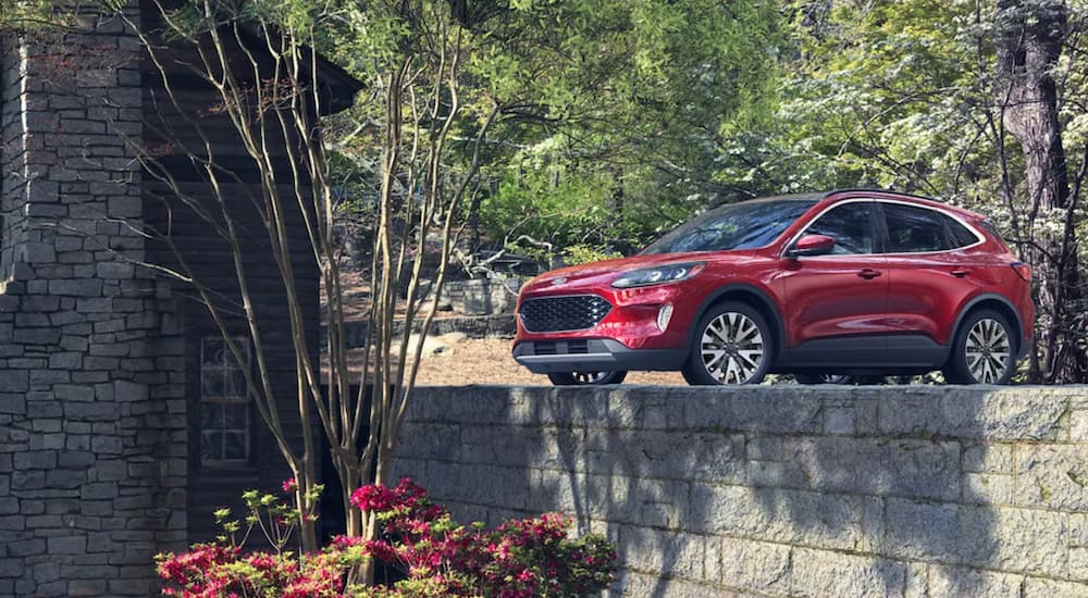 A red 2021 Ford Escape Hybrid is shown parked next to a stone wall.