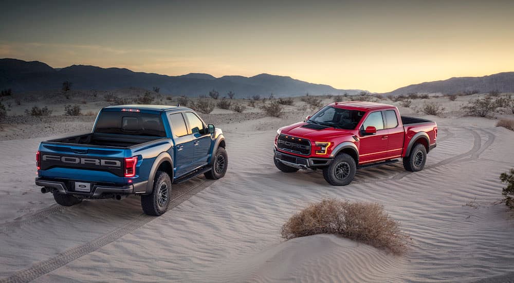 A blue and a red 2019 Ford F-150 Raptor are parked on the sand at sunset.