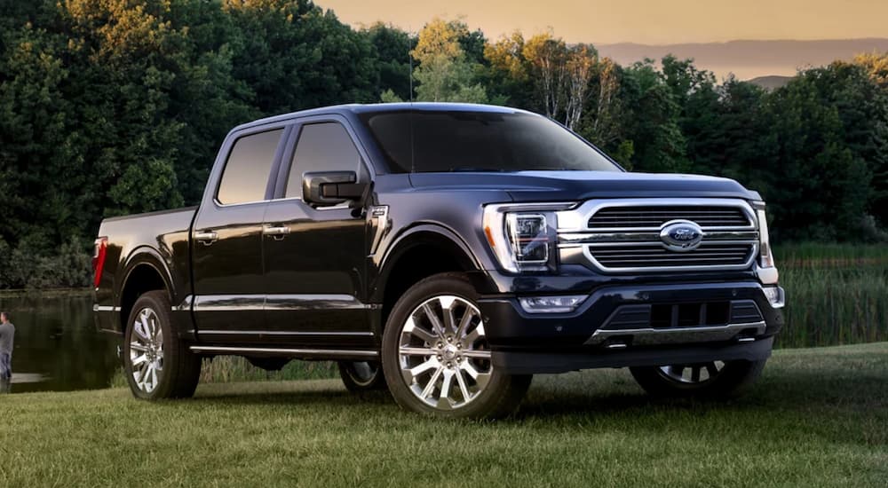 A blue 2021 Ford F-150 is parked on grass.