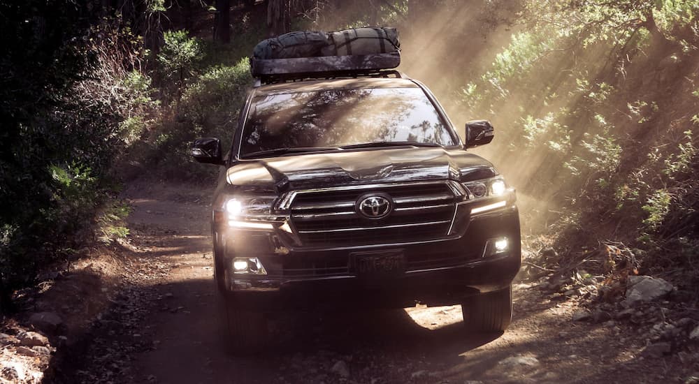 A black 2020 Toyota Land Cruiser is shown from the front driving in the woods after leaving a PA Toyota dealer.