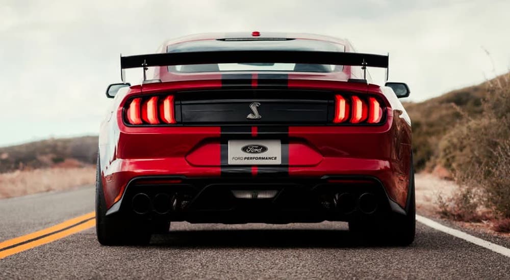 A red 2021 Ford Mustang GT500 is shown from the rear on an empty road.