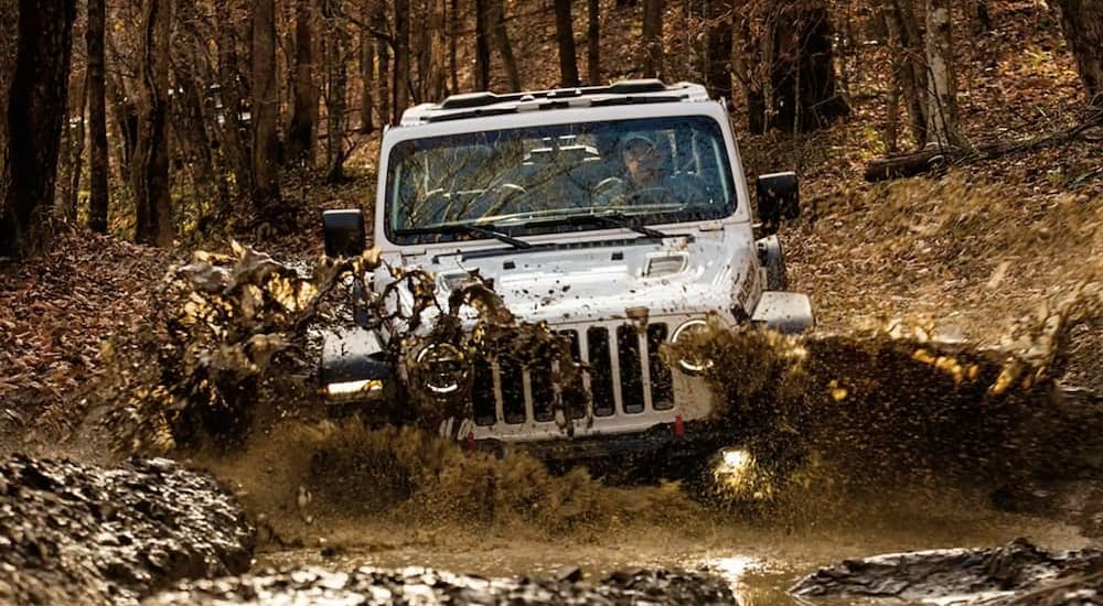 A white 2021 Jeep Wrangler is shown from the front driving through a muddy puddle.