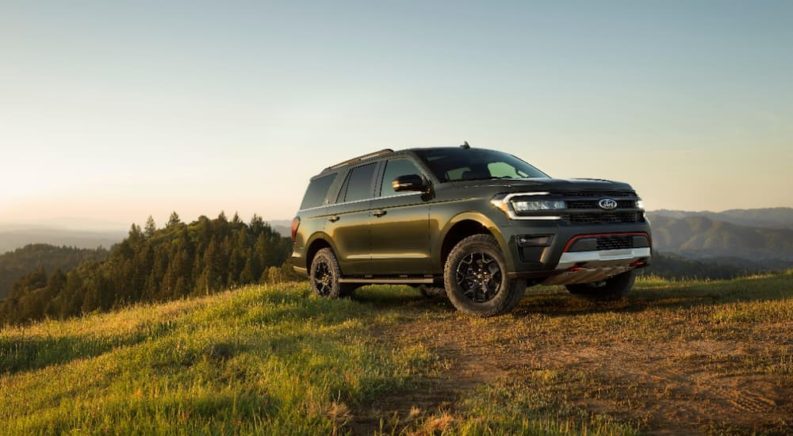 A grey 2022 Ford Expedition Timberline is shown driving up a grassy hill.