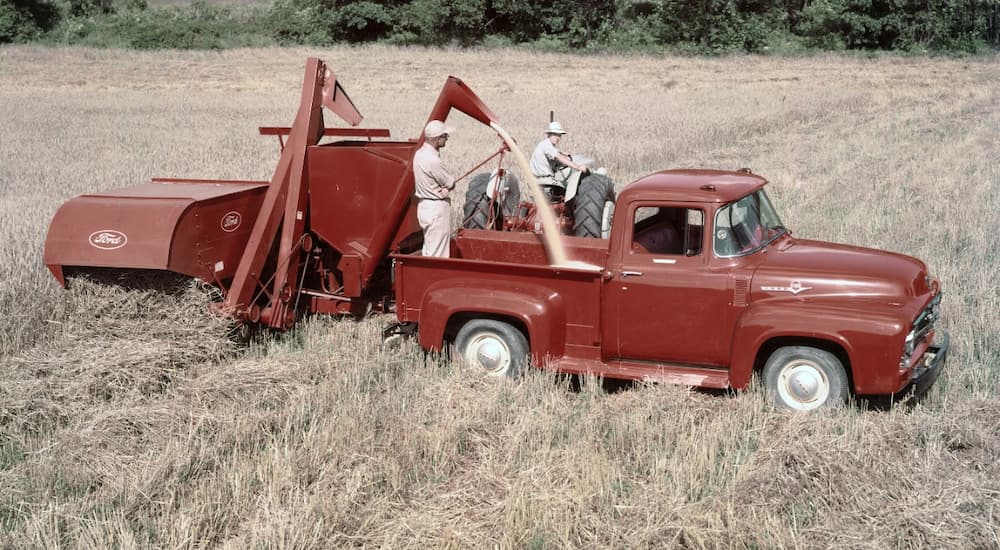 A red 1955 Ford F-100 is shown in a grassy field.