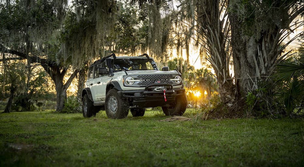 A cactus grey 2022 Ford Bronco Everglades is shown from the front at an angle in the everglades.