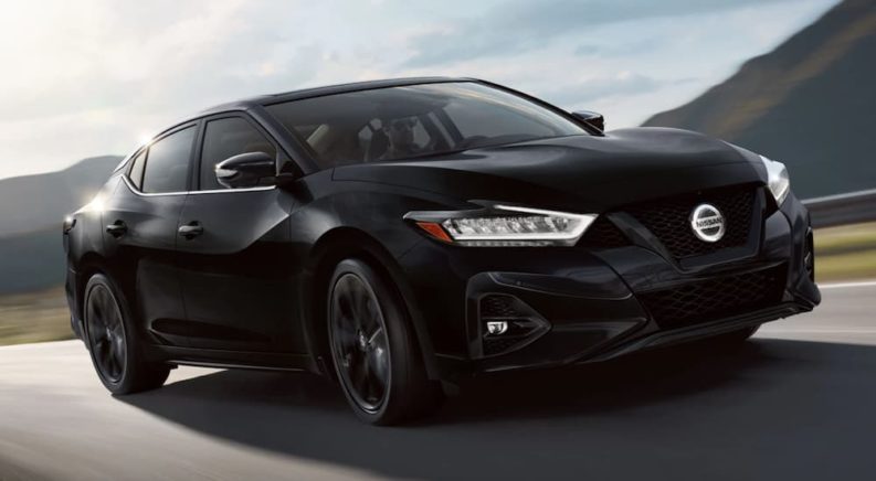 A black 2022 Nissan Maxima is shown from the front driving on an open road.