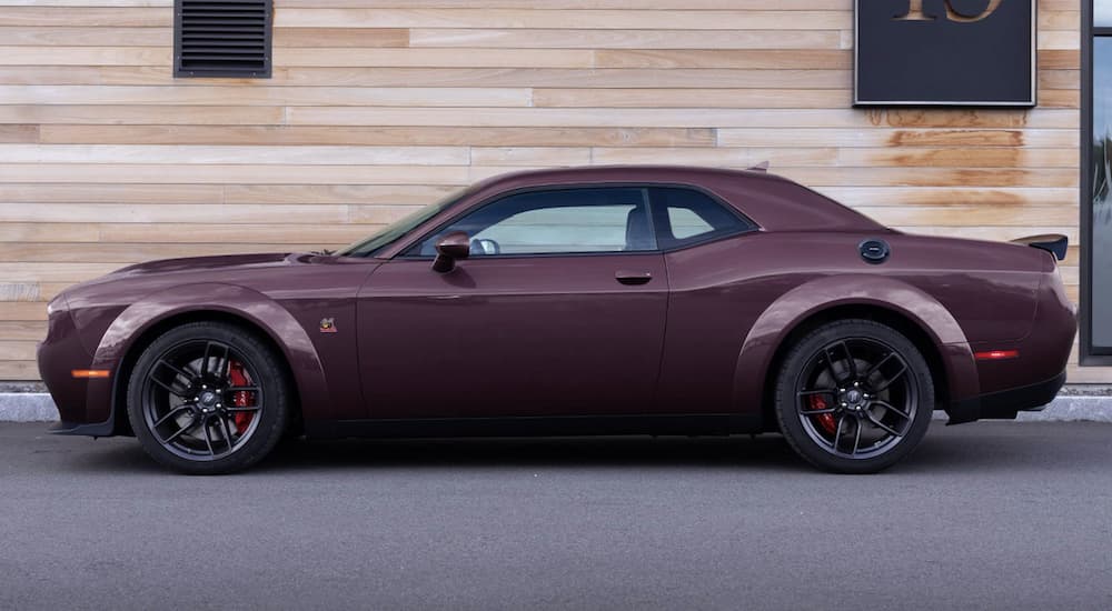A maroon 2022 Dodge Challenger Scat Pack Widebody is shown parked from the side.