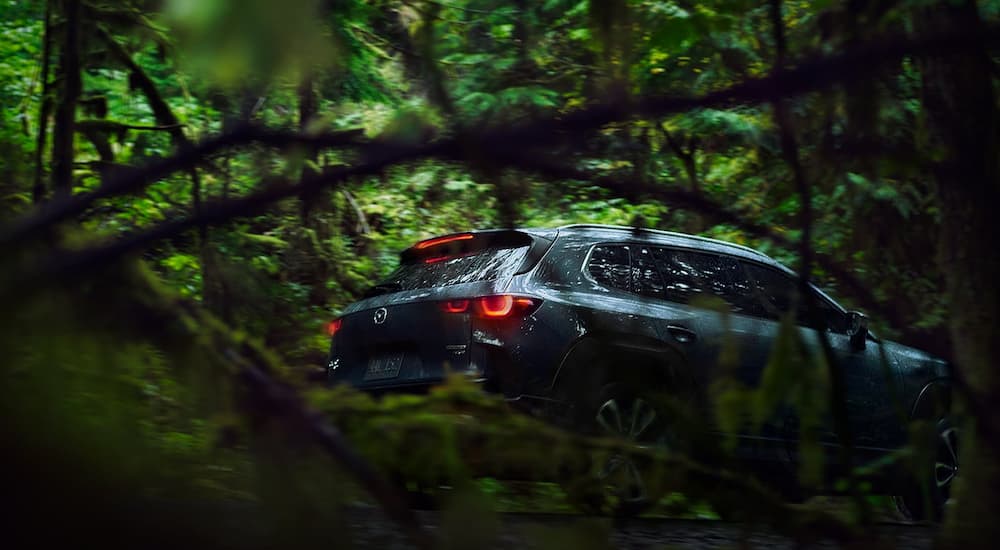 A light blue 2023 Mazda CX-50 is shown through foliage in the woods.
