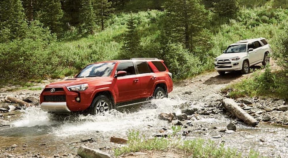 A red and white 2019 Toyota 4Runner are shown off-roading.