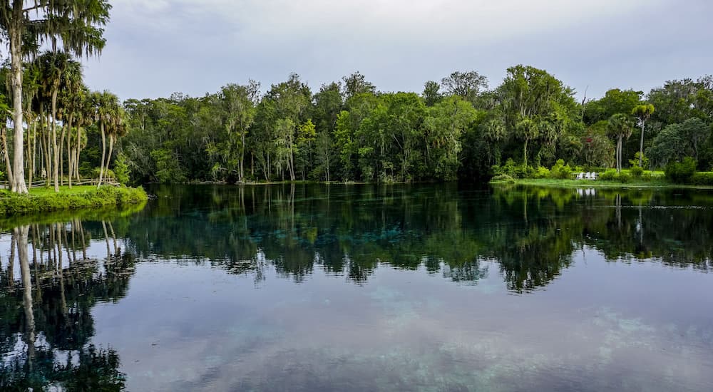 A lake and trees are shown in the Ocala National Forest in Florida.