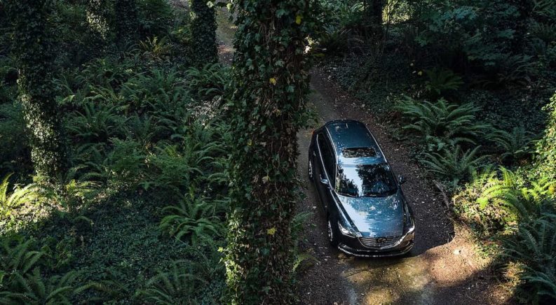 A blue 2022 Mazda CX-9 is shown from a high angle on a trail.