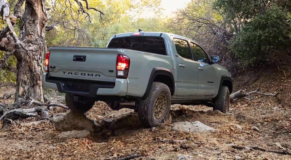 A grey 2023 Toyota Tacoma Trail is shown from the rear at an angle while driving off-road.