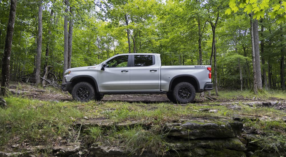 A silver 2023 Chevy Silverado ZR2 Bison is shown from the side in the woods.
