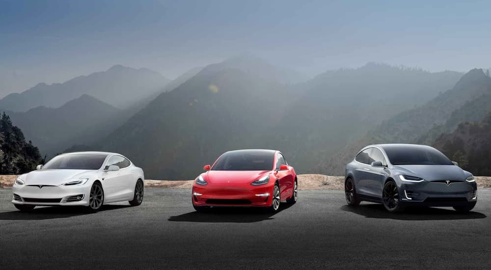 The 2020 used Tesla lineup are shown overlooking a mountain.