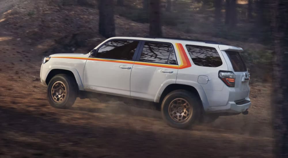 A white 2023 Toyota 4Runner 40th Anniversary Special Edition is shown off-roading through the woods.