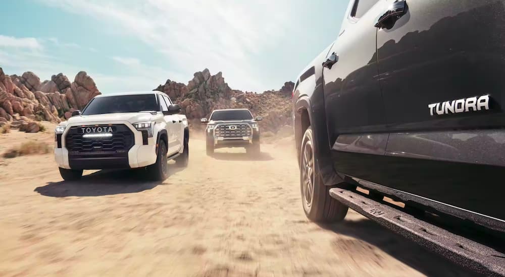 A white 2023 Toyota Tundra Limited, a black TRD Pro, and a black 1794 Edition are shown driving on dirt.