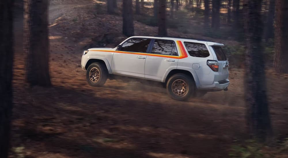 A white 2023 Toyota 4Runner 40th Anniversary Edition is shown from the side while driving through a forest.