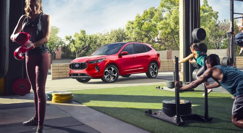 A red 2023 Ford Escape ST-Line Elite is shown outside of a gym.