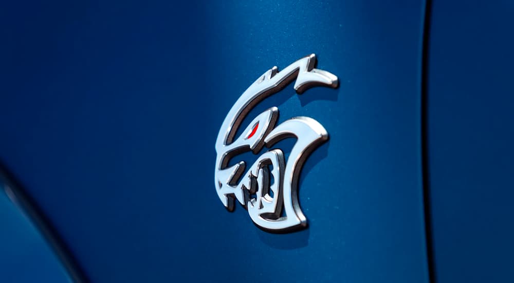A close up shows the badge on a blue 2023 Dodge Charger SRT Hellcat Widebody Redeye Jailbreak.