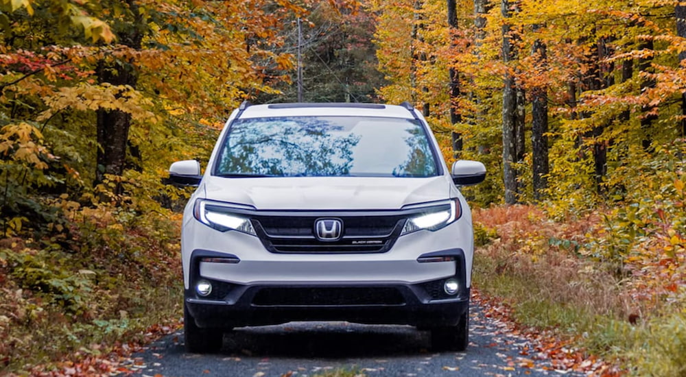 A white 2022 Honda Pilot Black Edition is shown on a trail in autumn.