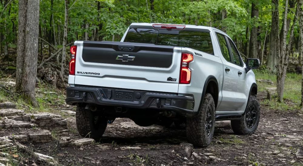 A 2023 Chevy Silverado 1500 ZR2 Bison is shown from the back parked in a forest.