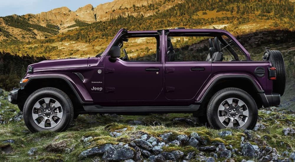 A purple 2023 Jeep Wrangler Sahara is shown parked off-road.