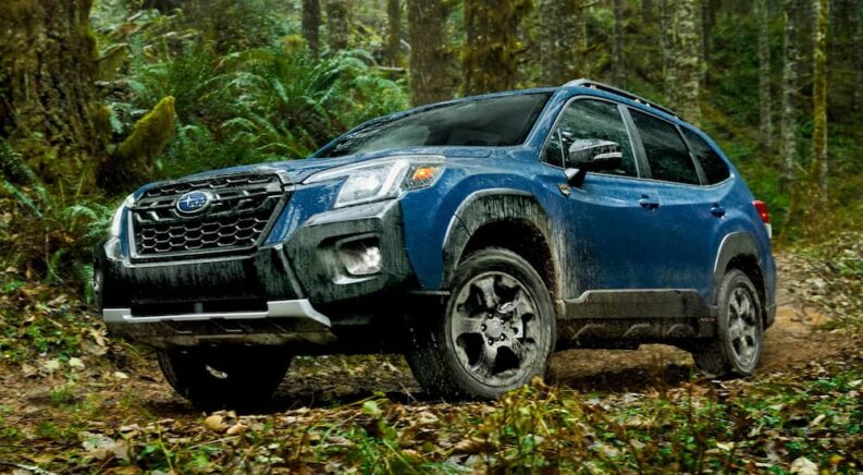 Fresh from a Subaru dealer, a blue 2022 Subaru Forester Wilderness is shown driving off-road through a forest.