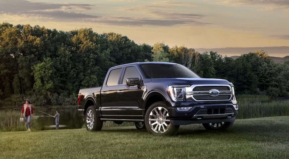 A black 2023 Ford F-150 XLT is shown parked on grass near a pond.