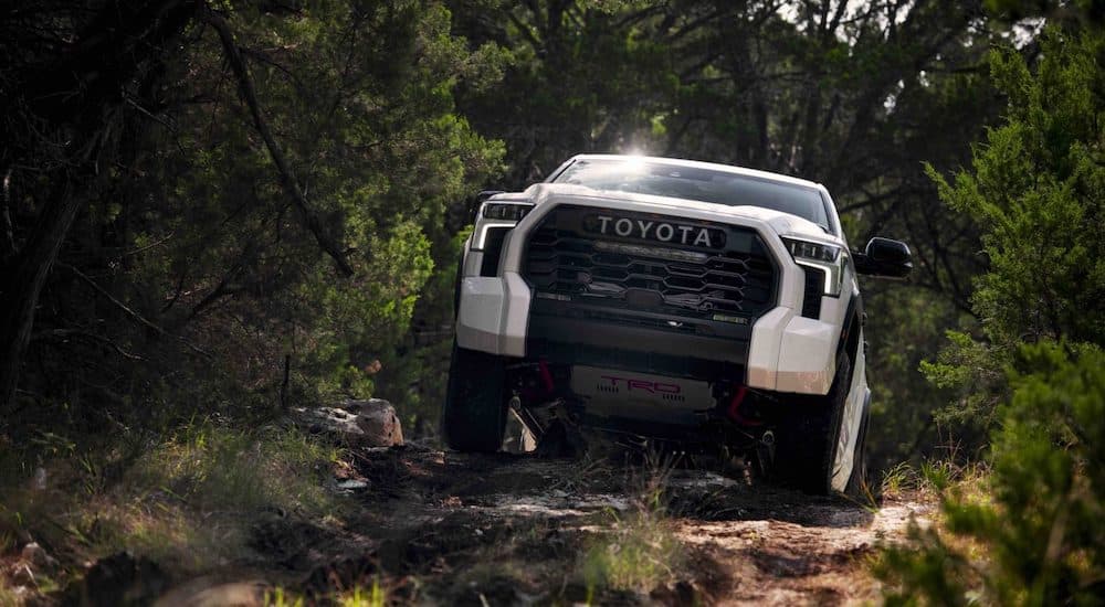 A white 2023 Toyota Tundra TRD Pro is shown driving off-road in a forest.