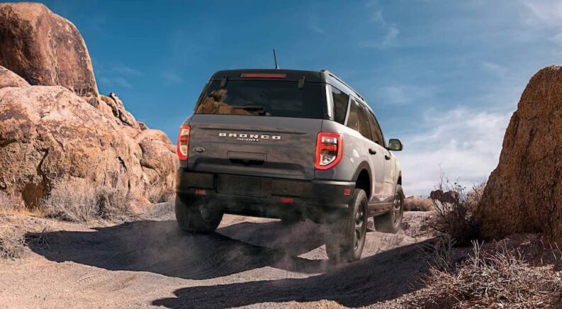 More Alike Than Different: The Bronco And Bronco Sport Go Off-Road