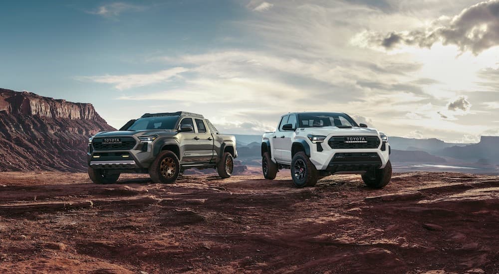 A pair of 2024 Toyota Tacomas, one white and the other green, are shown parked off-road.