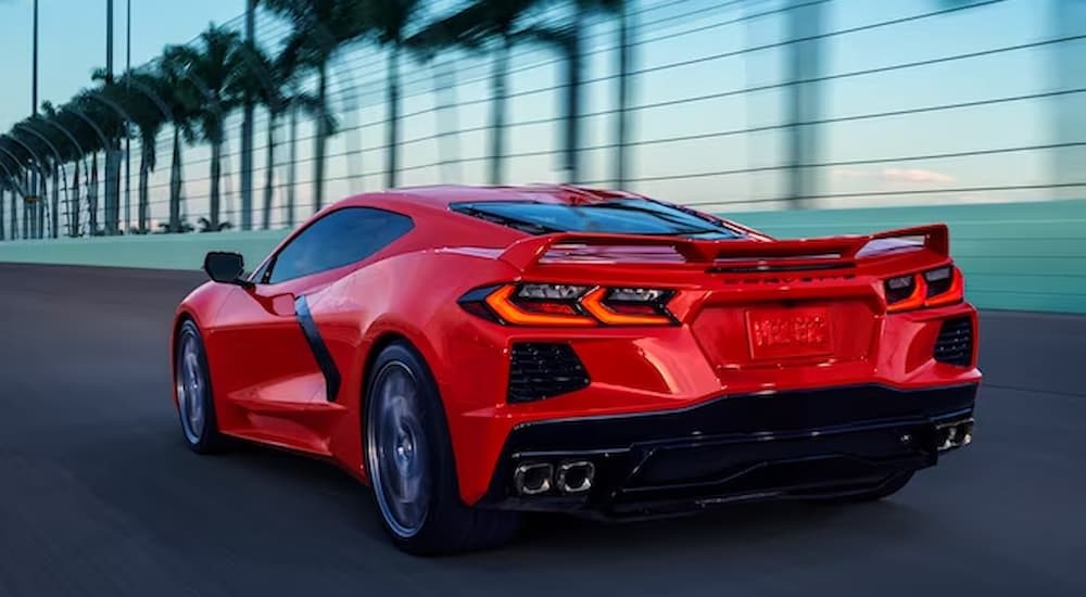 A red 2024 Chevy Corvette Stingray 3LT Coupe is shown driving near palm trees on a racetrack.