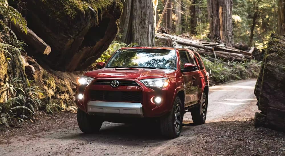 A red 2023 Toyota 4Runner TRD Off-Road is shown from the front at an angle.