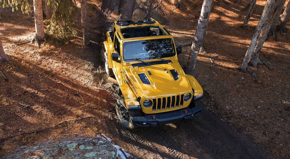 A yellow 2019 Jeep Wrangler Rubicon is shown driving off-road in the forest.