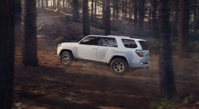 A white 2024 Toyota 4Runner SR5 Premium is shown driving in a forest.