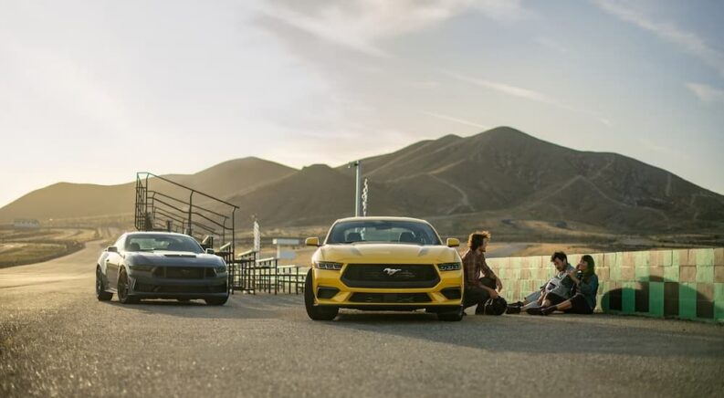 The Mustang Family Welcomes Powerful Additions for Its Newest Generation