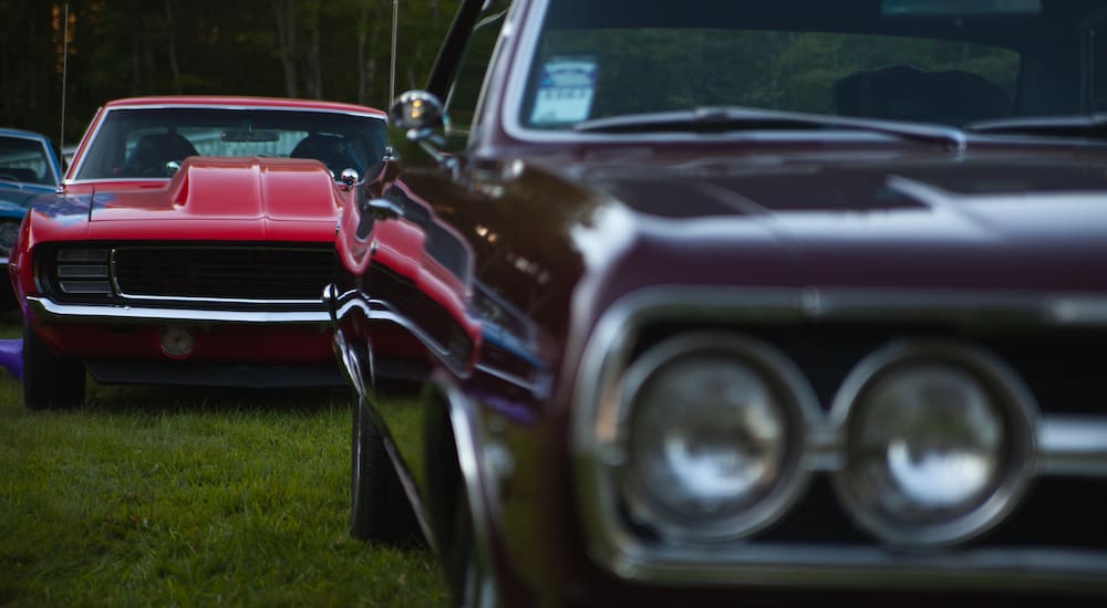 Vintage muscle cars parked in a grassy field.