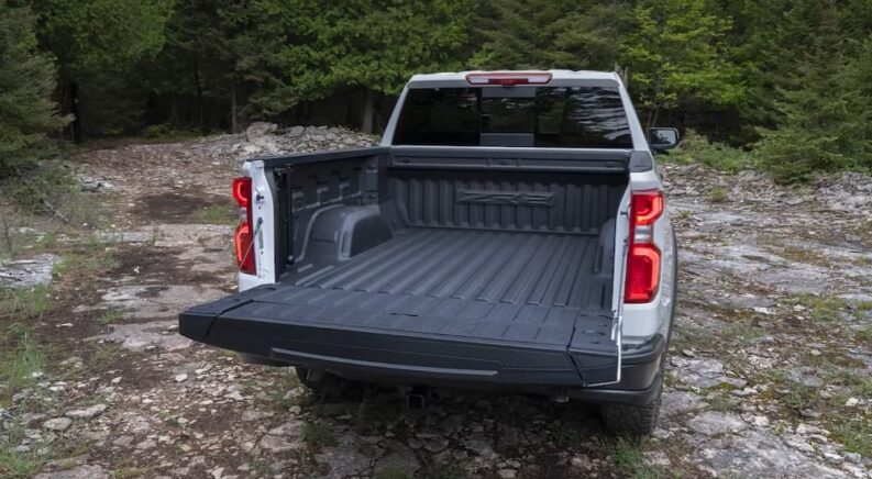 Which Brand Offers the Best Multipurpose Tailgate?