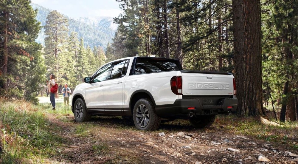 A rear view of a white 2024 Honda Ridgeline parked in a forest.